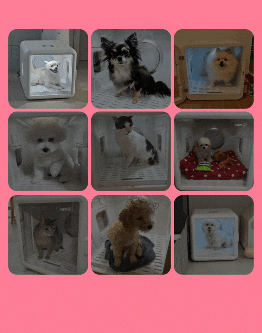 7d7891ddd445109470625c7501fa959b_1772526653_9806.gif